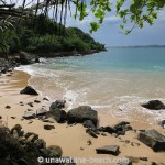 Jungle-Beach-Unawatuna05
