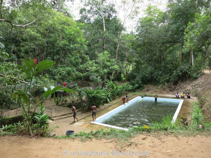 Kottawa Reserve Forest Swimming Pool 07