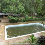 Kottawa-forêt-piscine-12